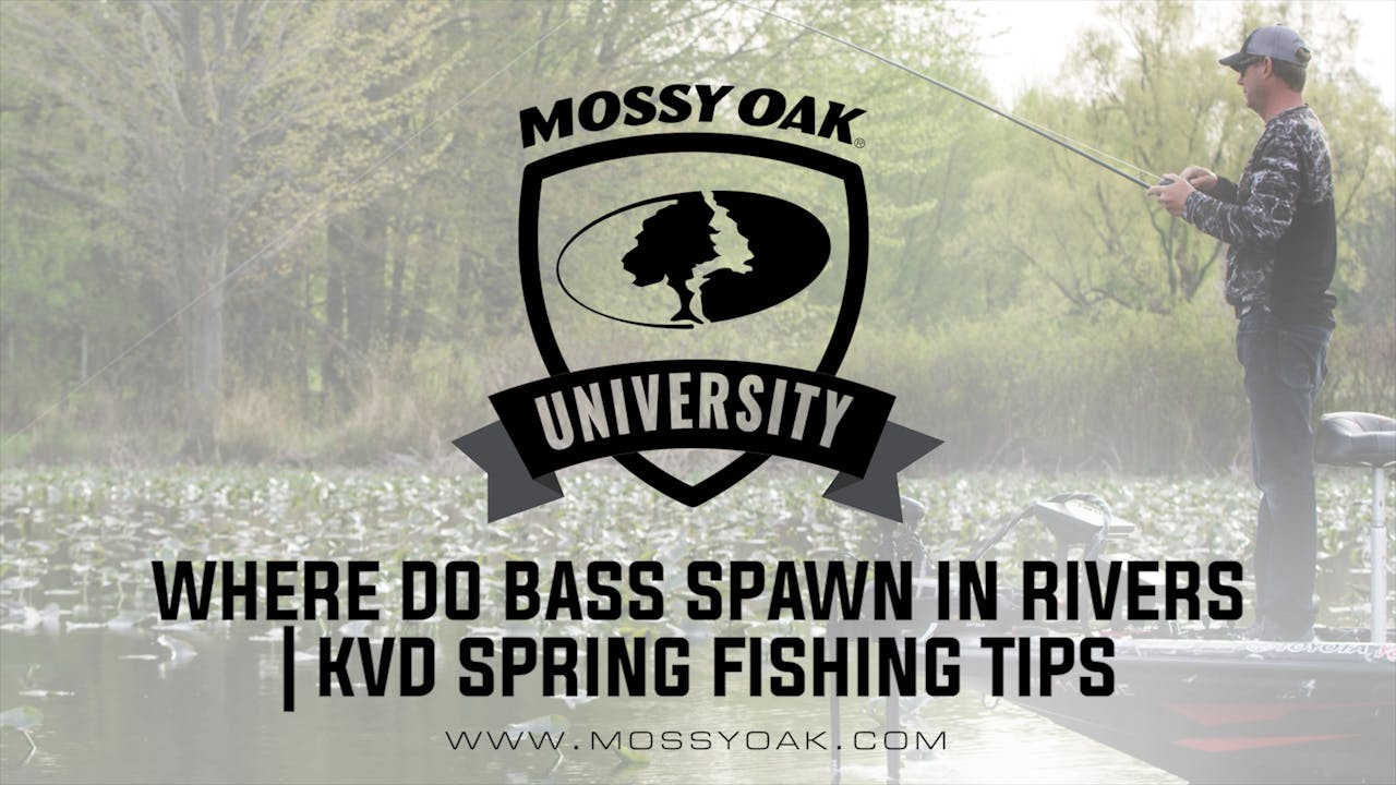 Where do Bass Spawn in Rivers • KVD Spring Fishing Tips Mossy Oak GO