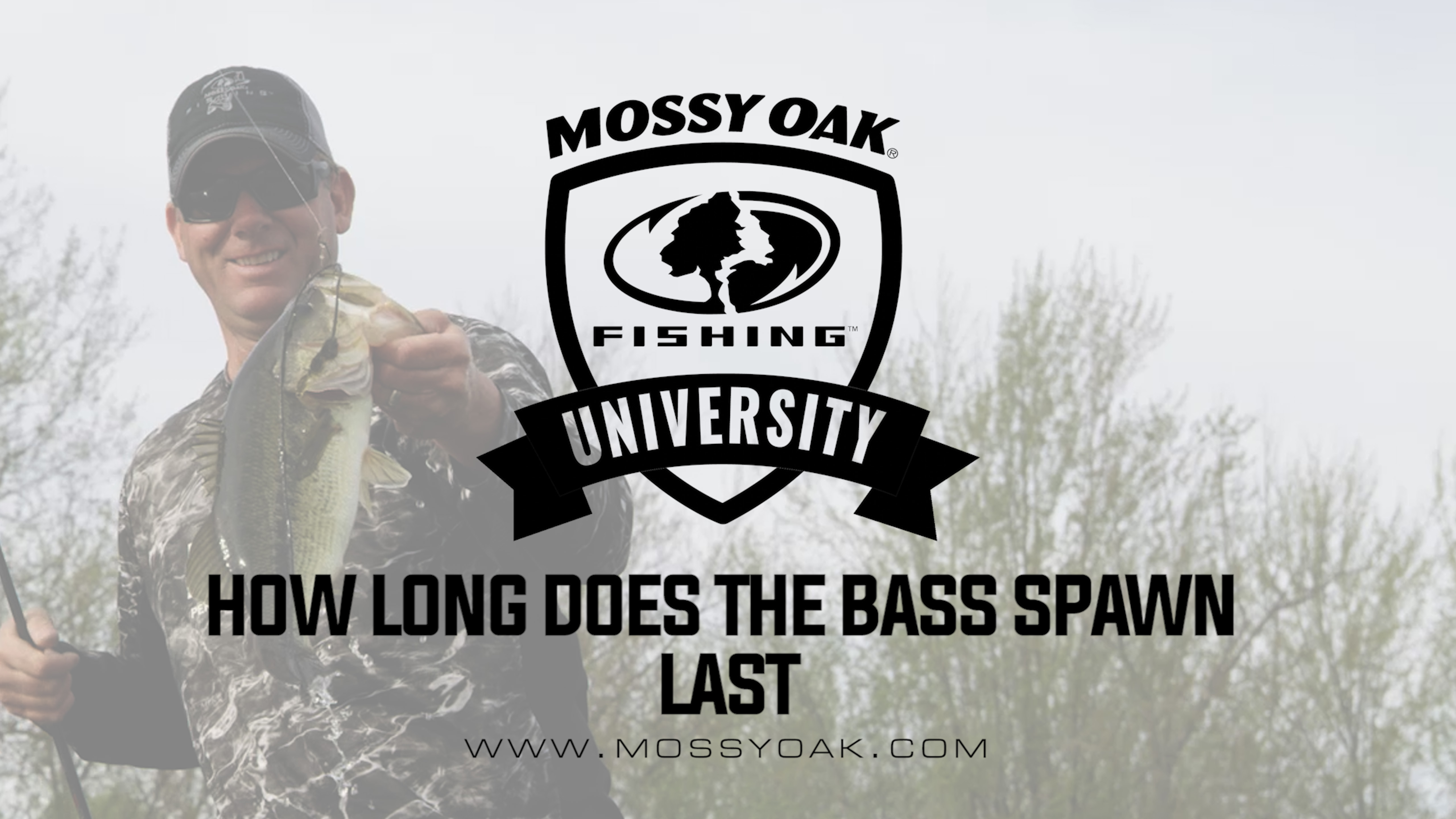 KVD - How Long Does the Bass Spawn Last