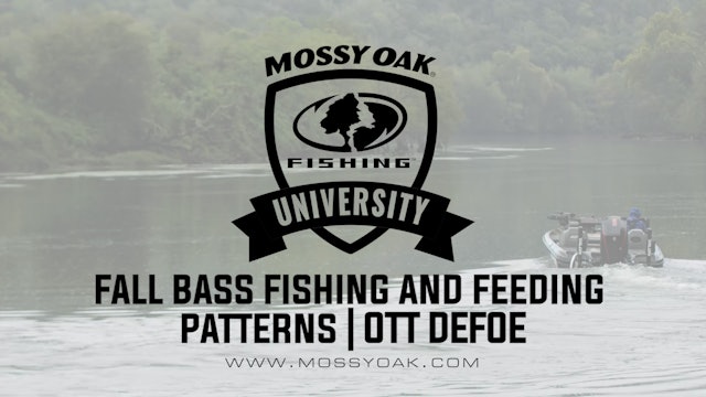What Do Bass Eat in the Fall - Ott DeFoe Fishing Tips