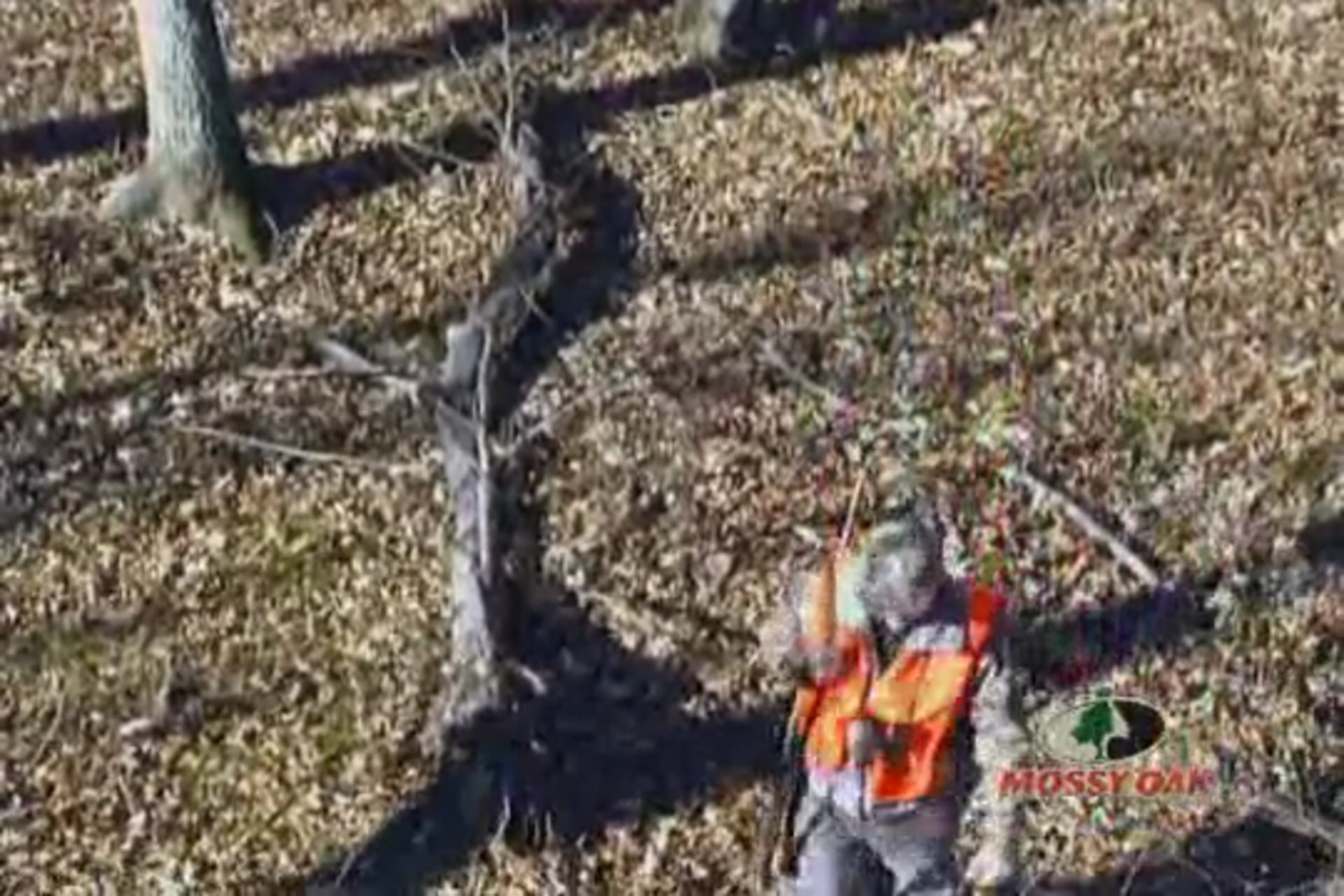 Mississippi Buck Fever • Big Antlers in the Delta