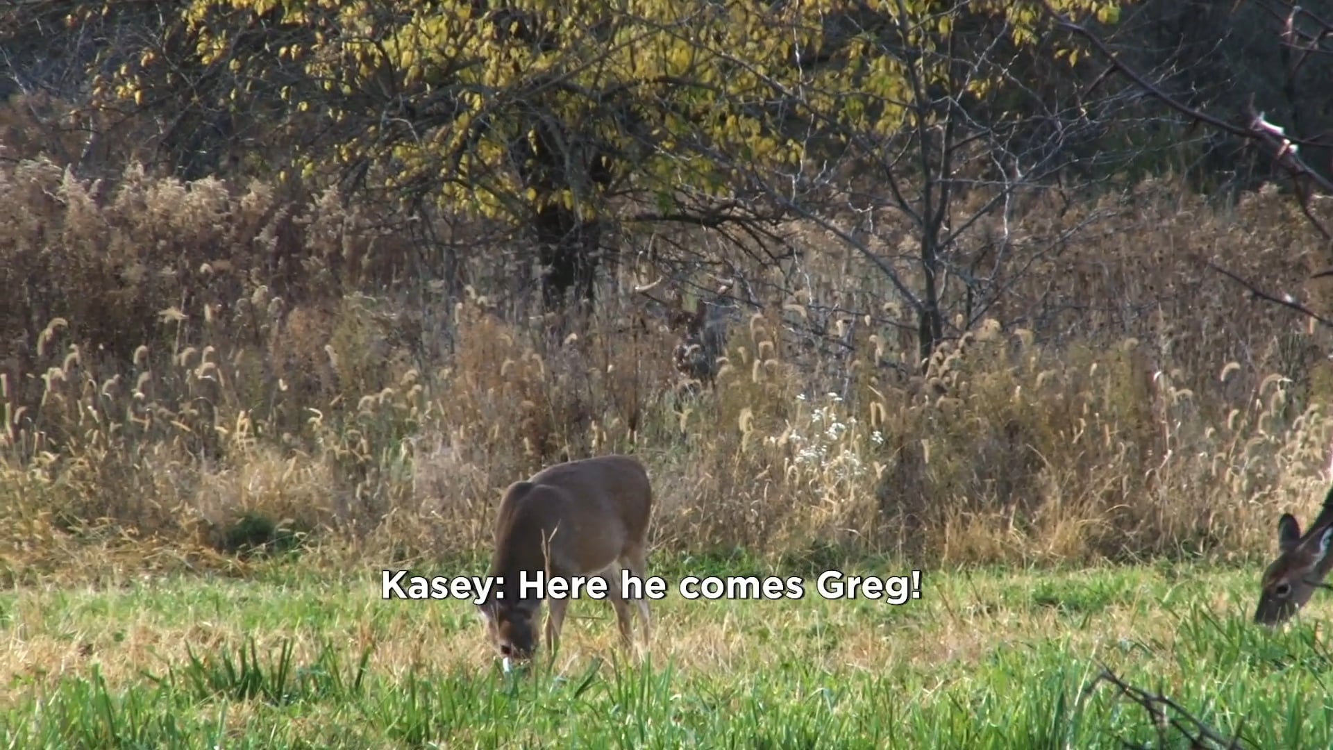 Too Close for Comfort • NBK Episode 3 S9