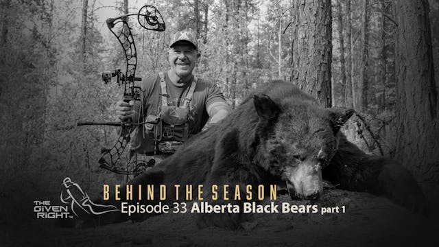 Alberta Black Bears part 1 • Behind t...