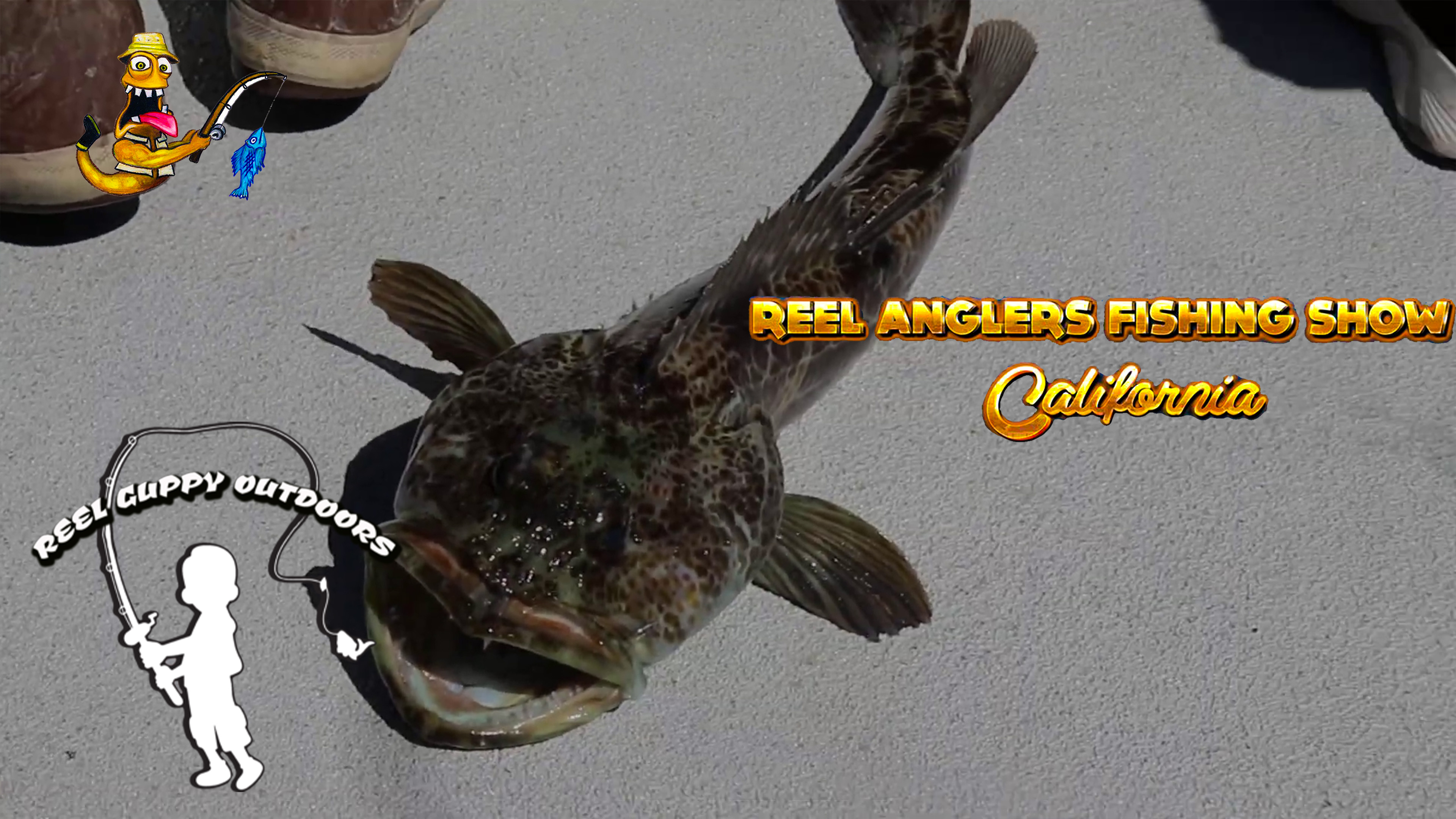 Santa Barbara • Stardust Sportfishing • Reel Anglers Fishing Show California