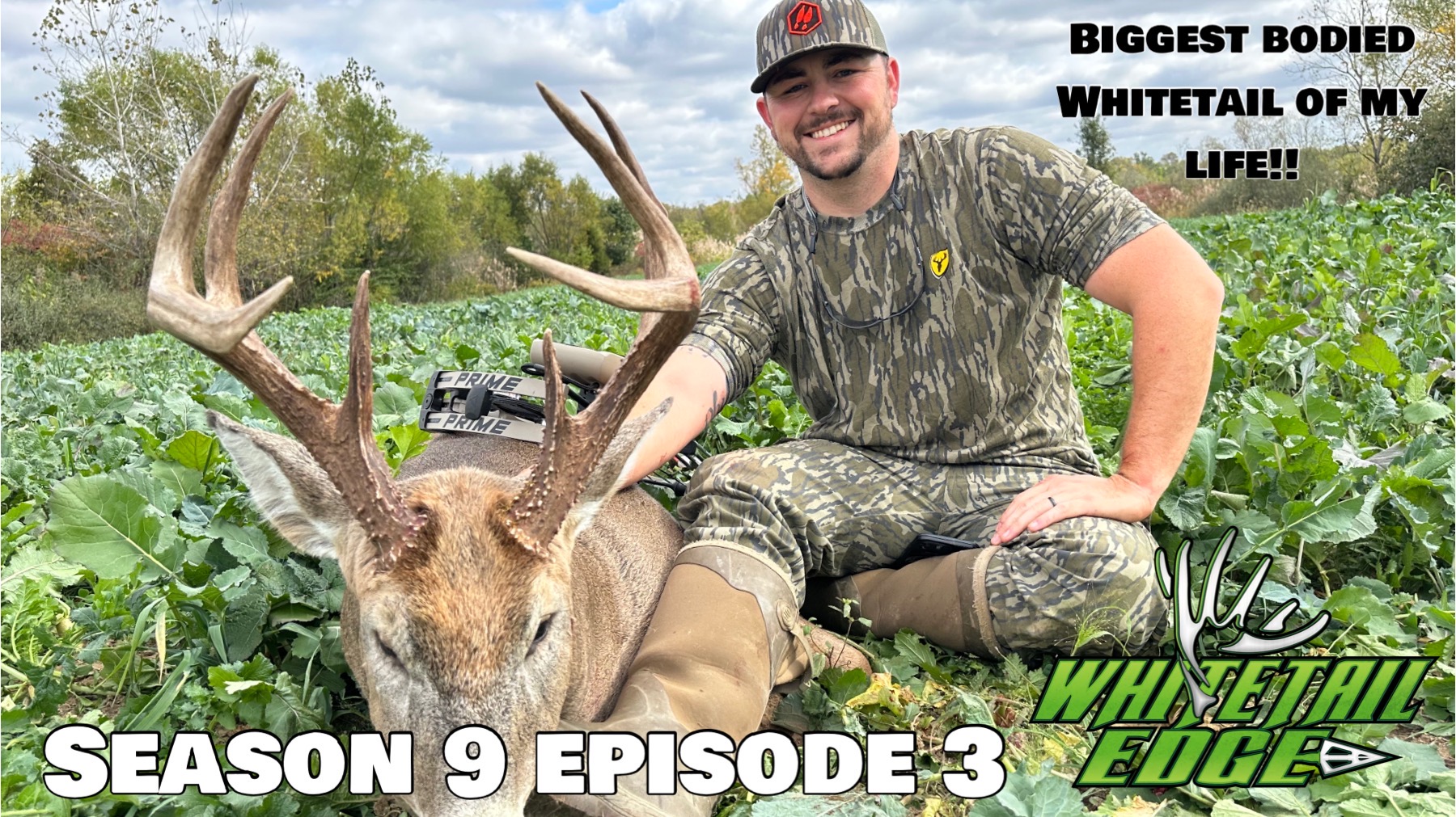 Indy • Whitetail Edge