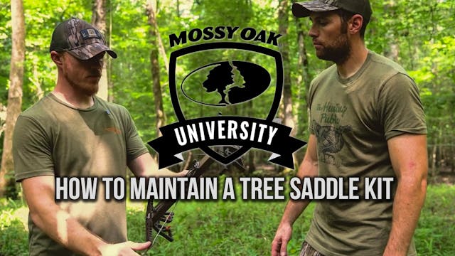 How to Maintain a Tree Saddle Kit