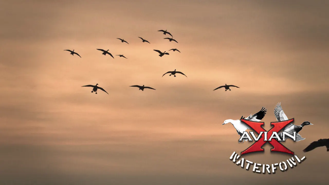 Ontario Pro Staff Hunt • Avian X Waterfowl Mossy Oak GO