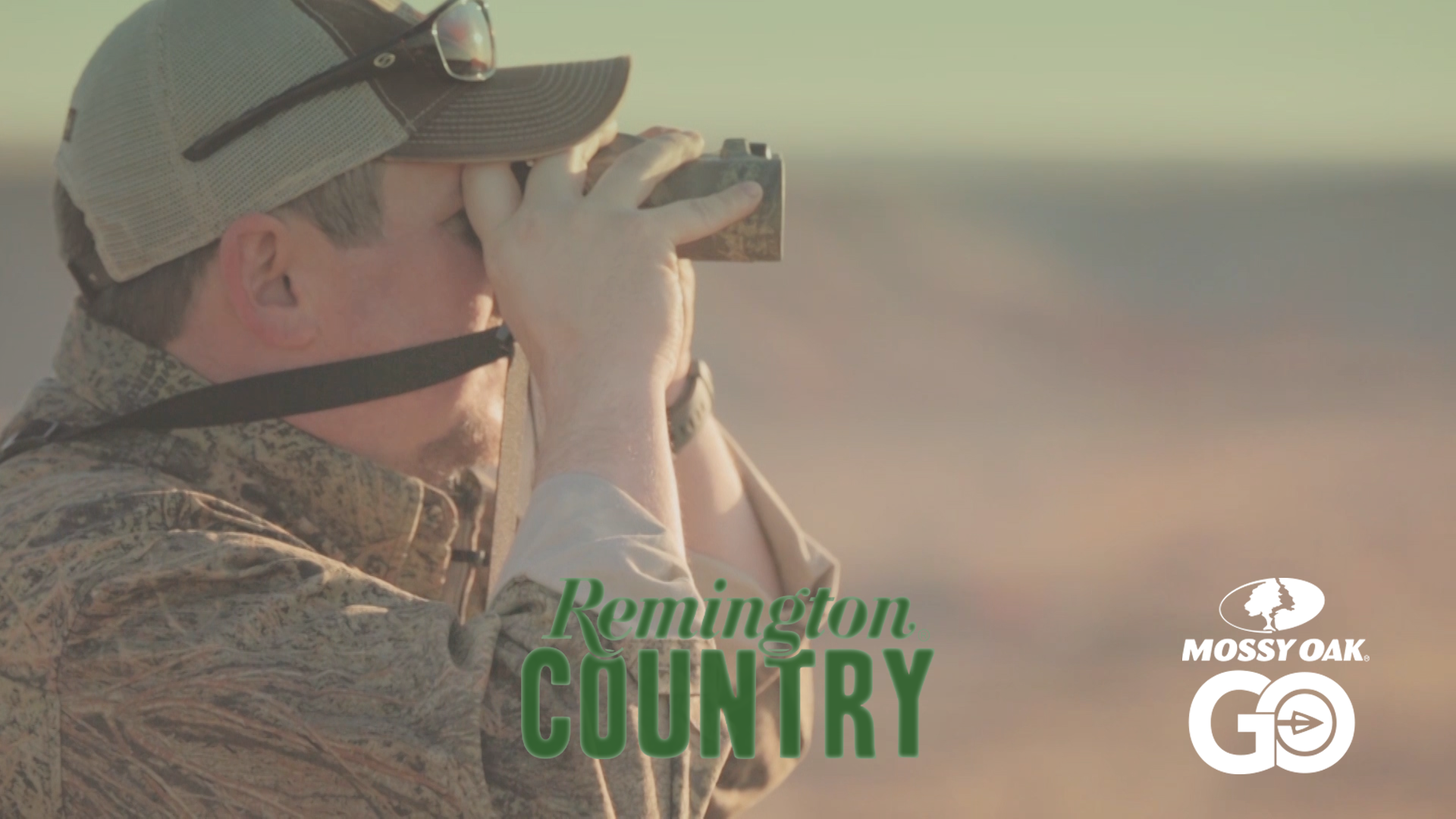 Texas Free – Range Aoudad Sheep • Remington Country
