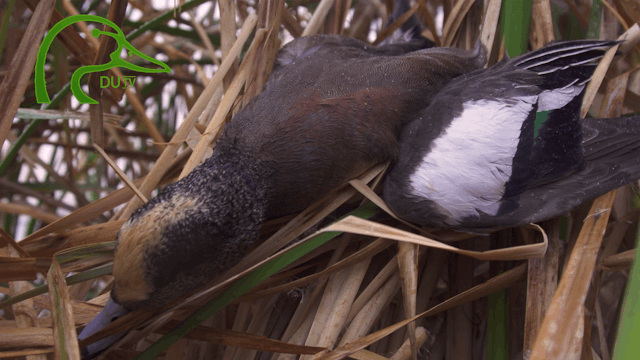 DUTV Best of 2020-2021 • DU TV