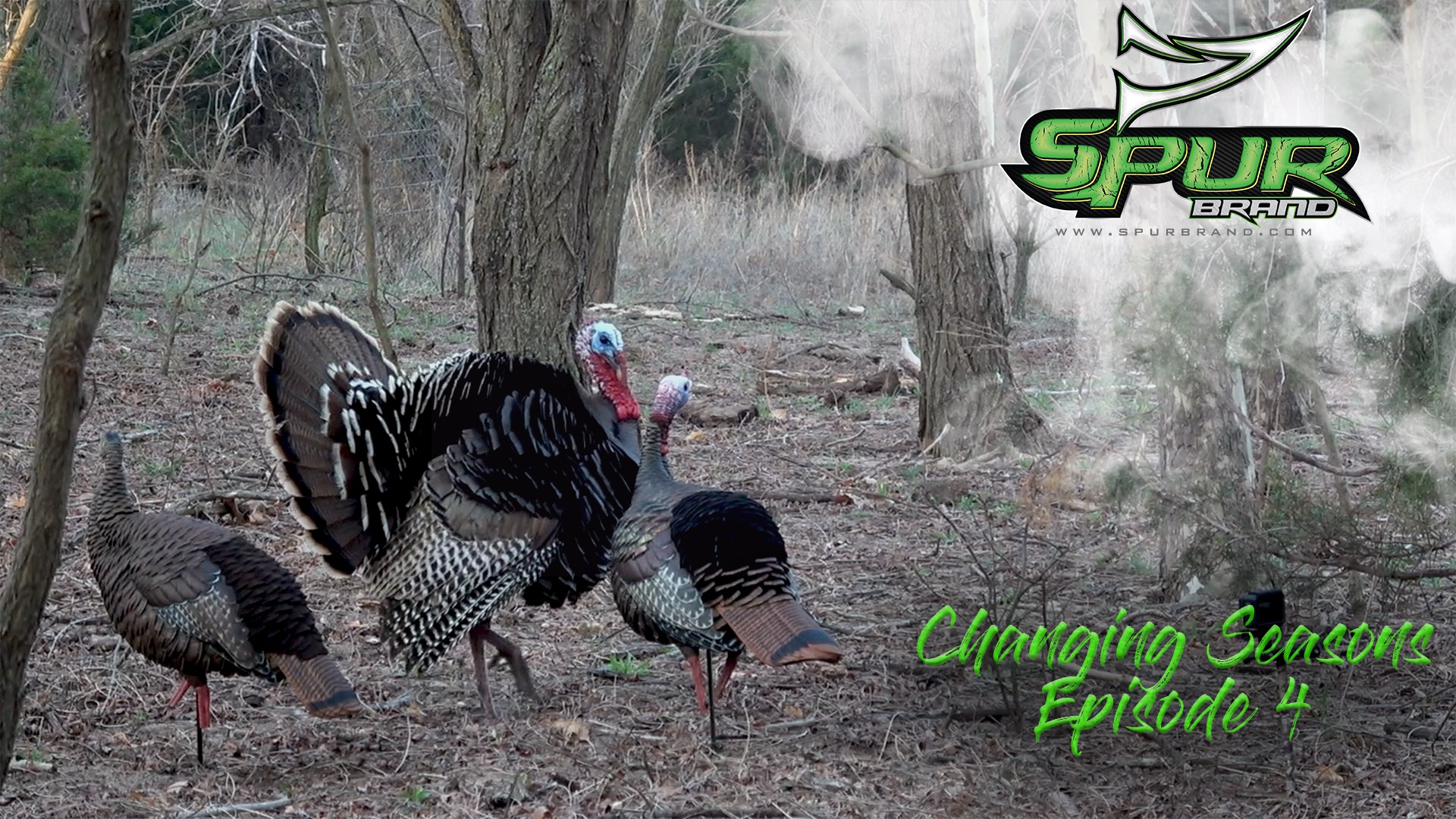 Changing Seasons • Episode 4 • Booner