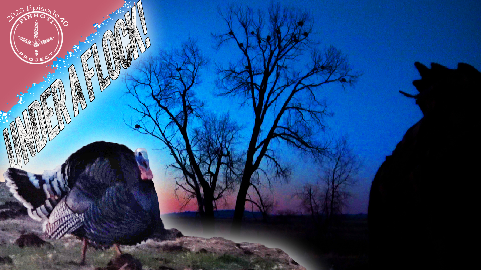 Pinhoti 2023 Ep 40 • Pinhoti Project
