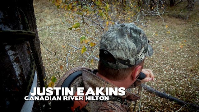 Pre Rut vs. Post Rut • Hunting All St...