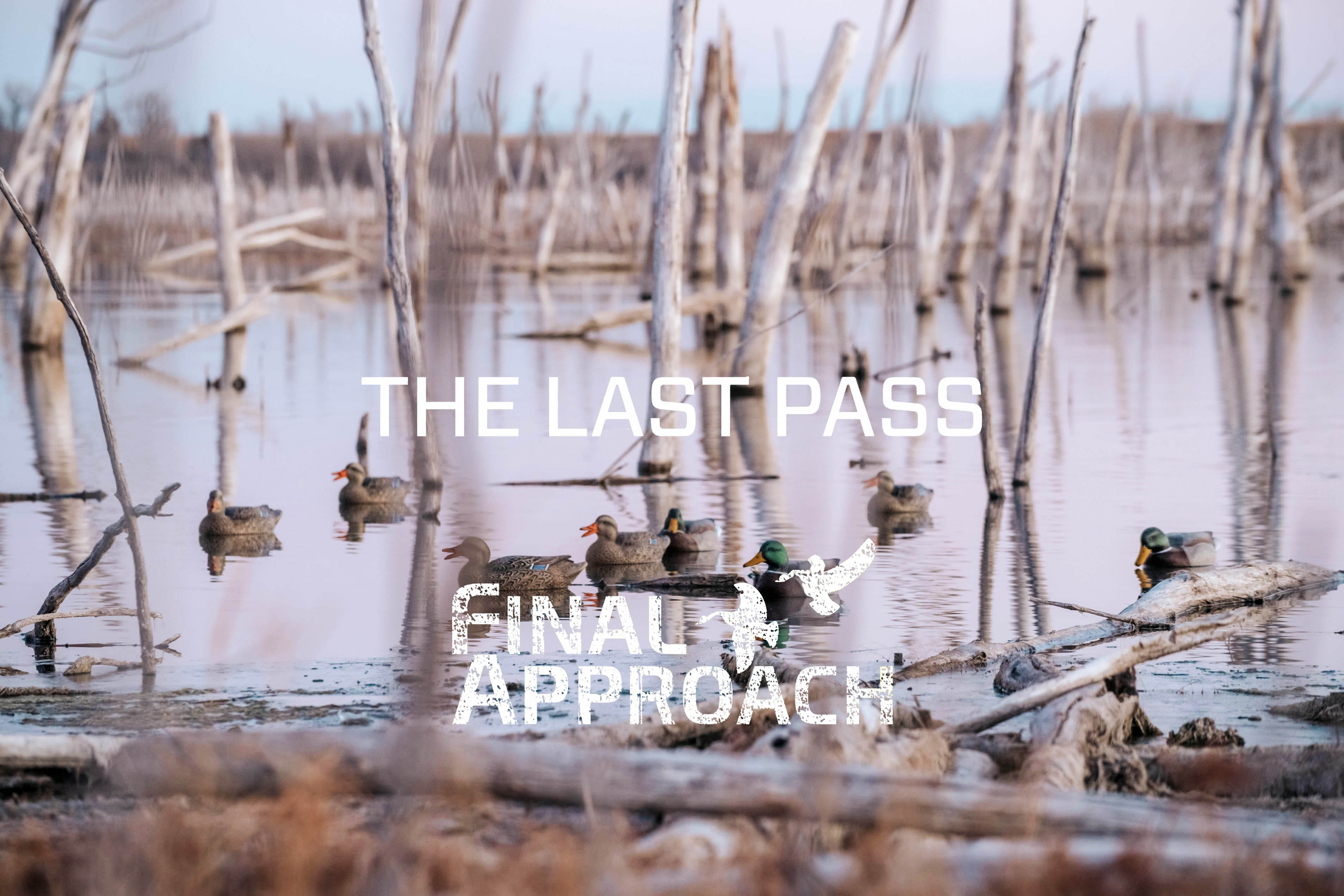 Last Pass Episode 8 • Mallards In The Colorado Timber