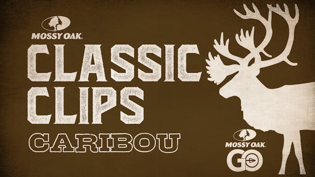 Classic Clips Caribou