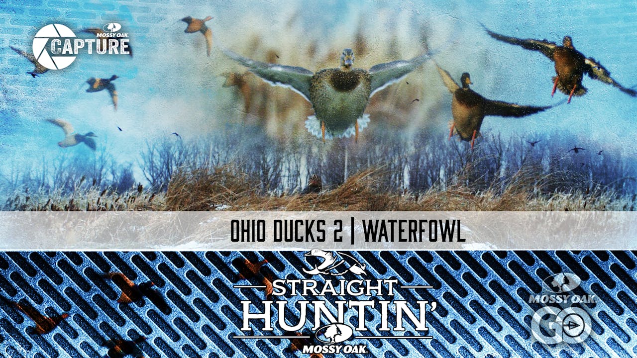 Ohio Ducks 2 • Waterfowl • Straight Huntin' Season 2 Mossy Oak GO