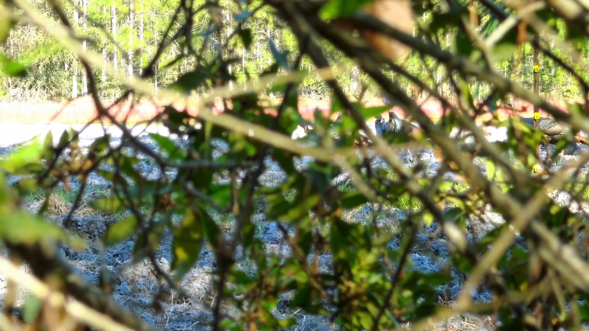 Seamark Benefit Hunt