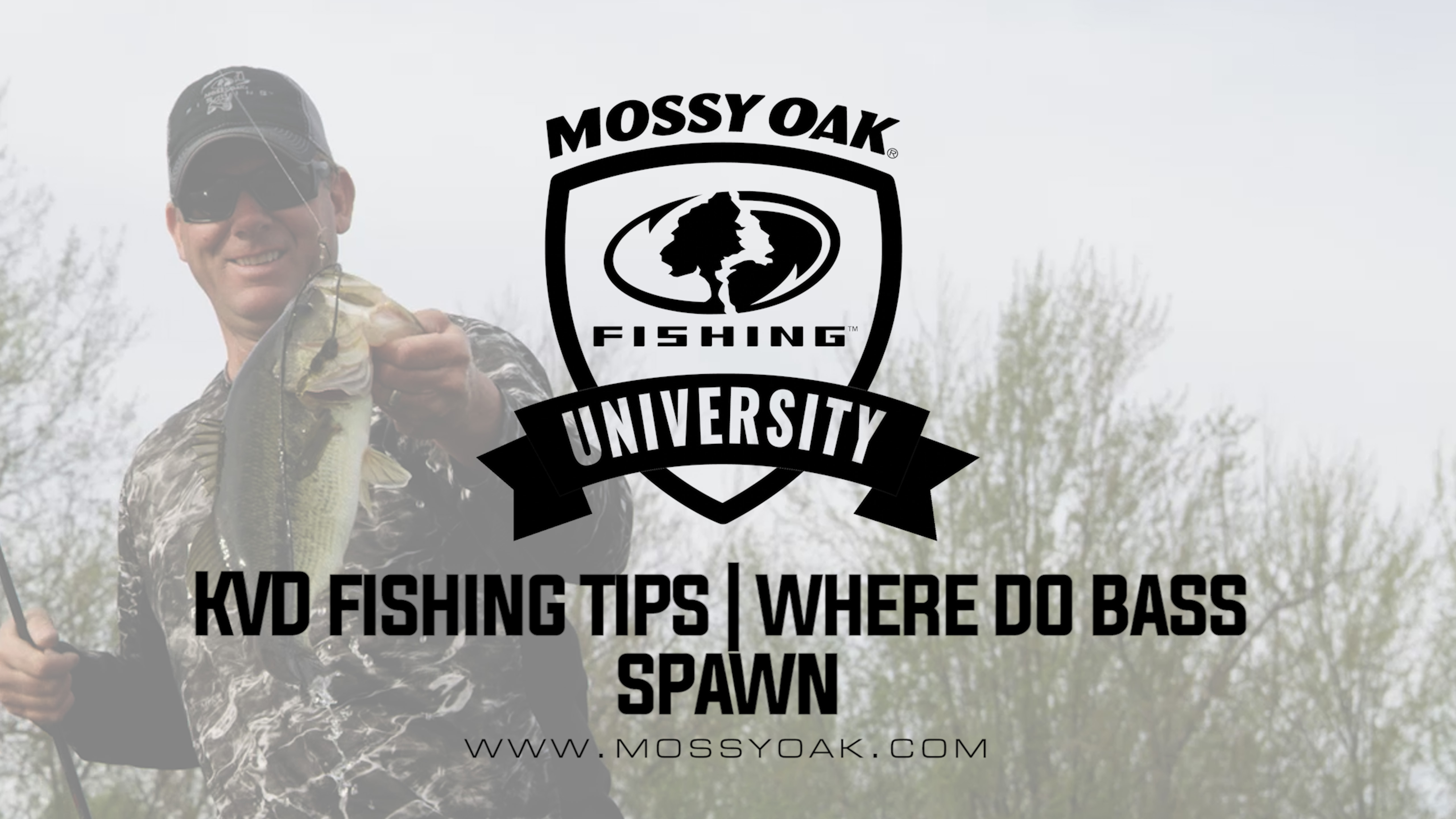 KVD - Spring Bass Fishing Tips - Where Do Bass Spawn