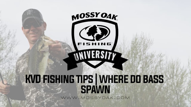 KVD - Spring Bass Fishing Tips - Where Do Bass Spawn