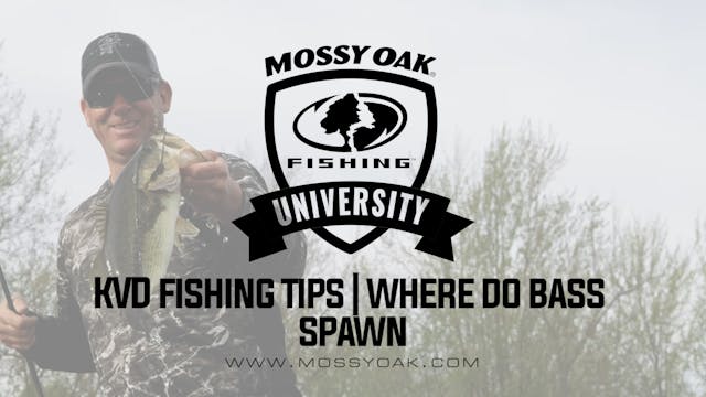 KVD - Largemouth Bass Fishing and Water Temp - KVD Fishing Tips - Mossy Oak  GO