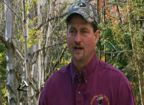 Don't Just Observe Nature • Bull Moos...