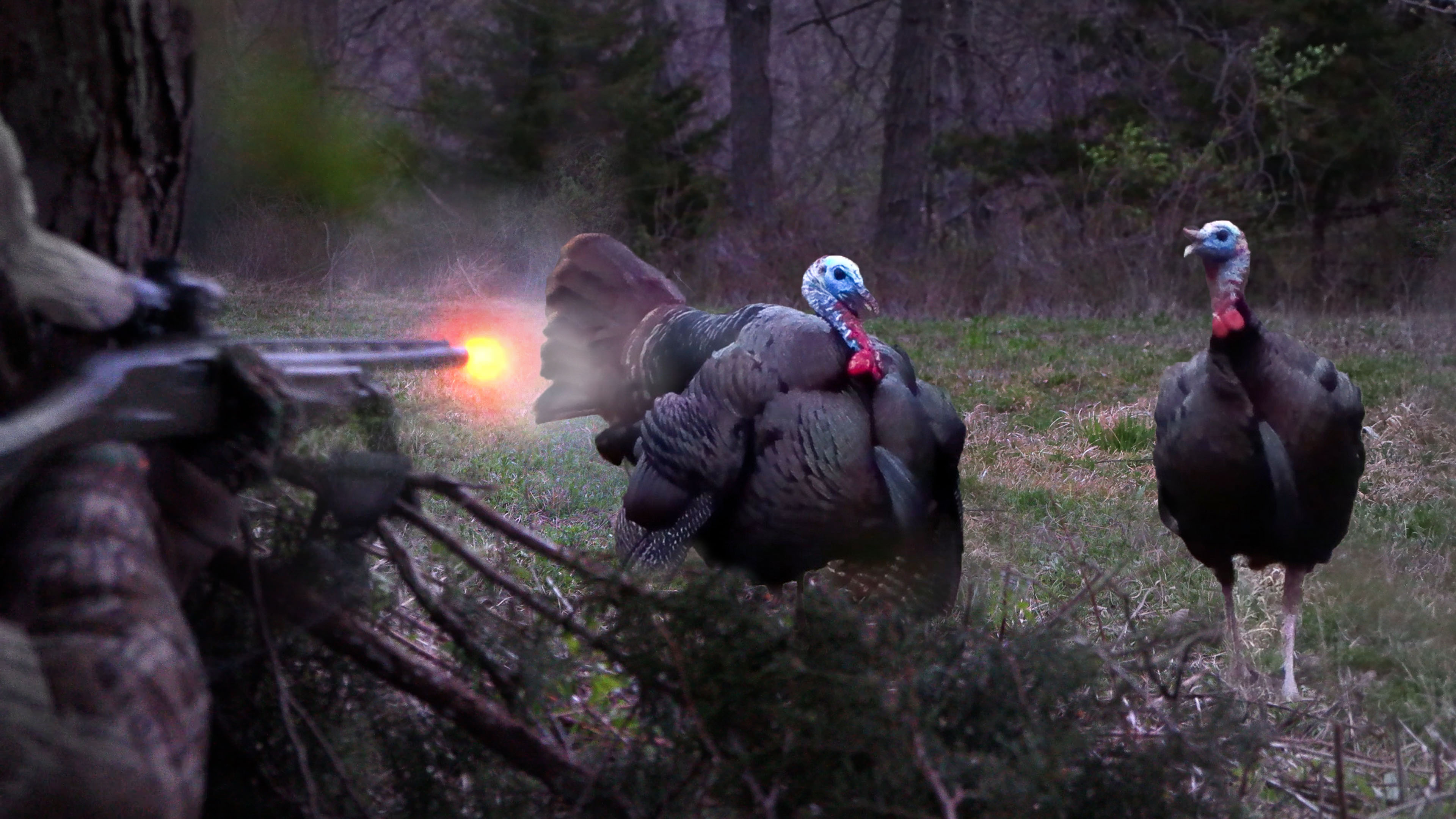 Opening Day! Mark Drury's TEXTBOOK Roost Hunt | Turkey Season 25