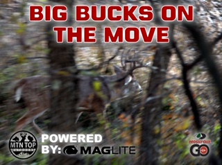 Missouri Whitetail Rut Action • MTN.Top Outdoors