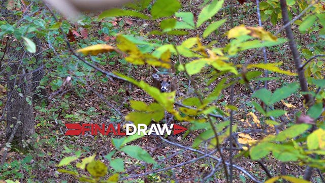 Last Light Last Night  • Final Draw