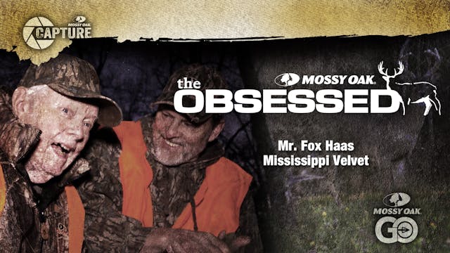 Mississippi Velvet • Mr. Fox Haas