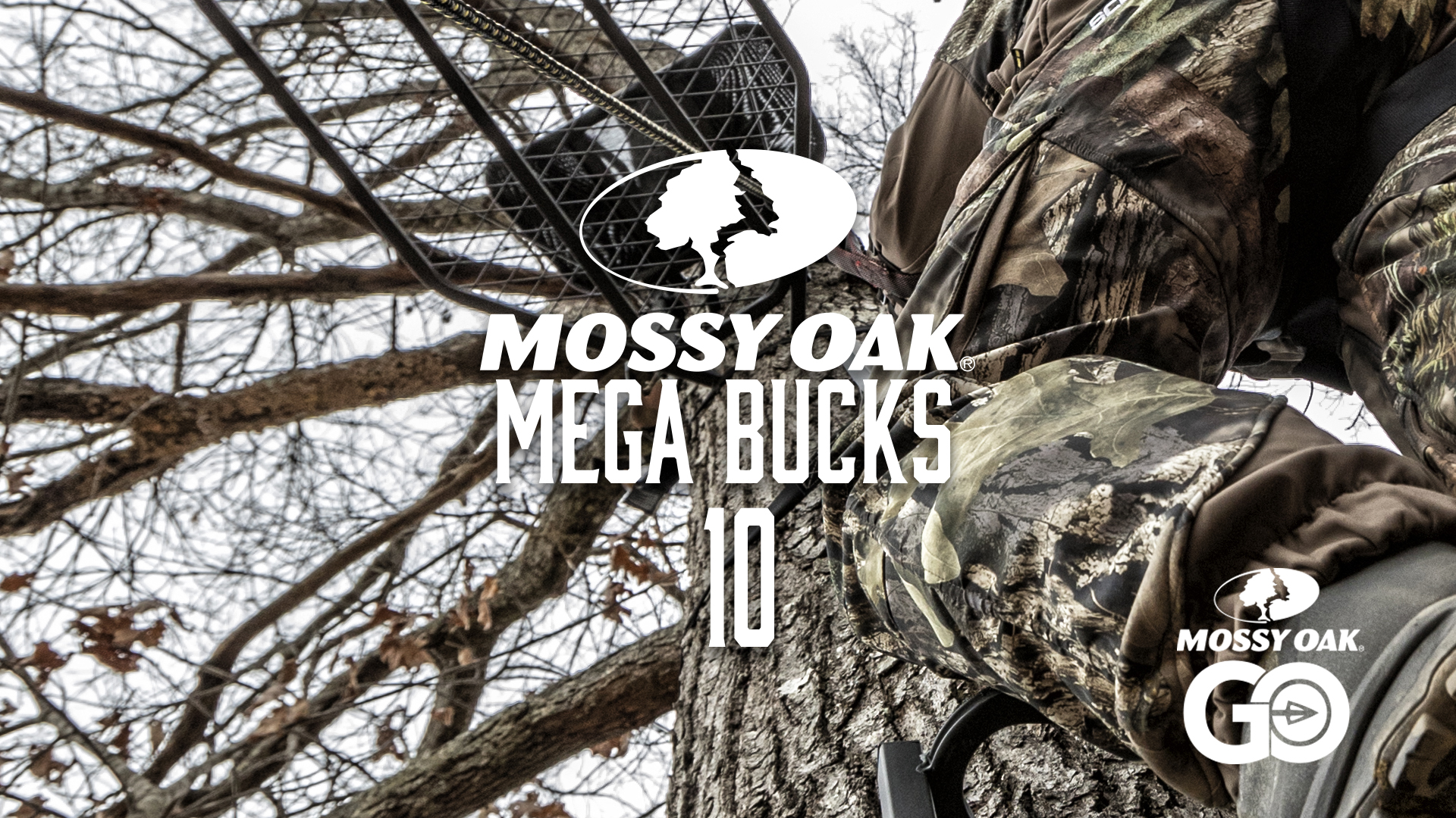 Mega Bucks 10