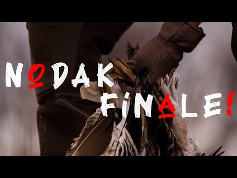 North Dakota REVENGE! pt 4 • Heartland Waterfowl
