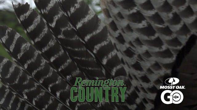 Texas Spurs • Remington Country