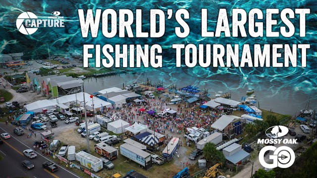 Alabama Deep Sea Fishing Rodeo