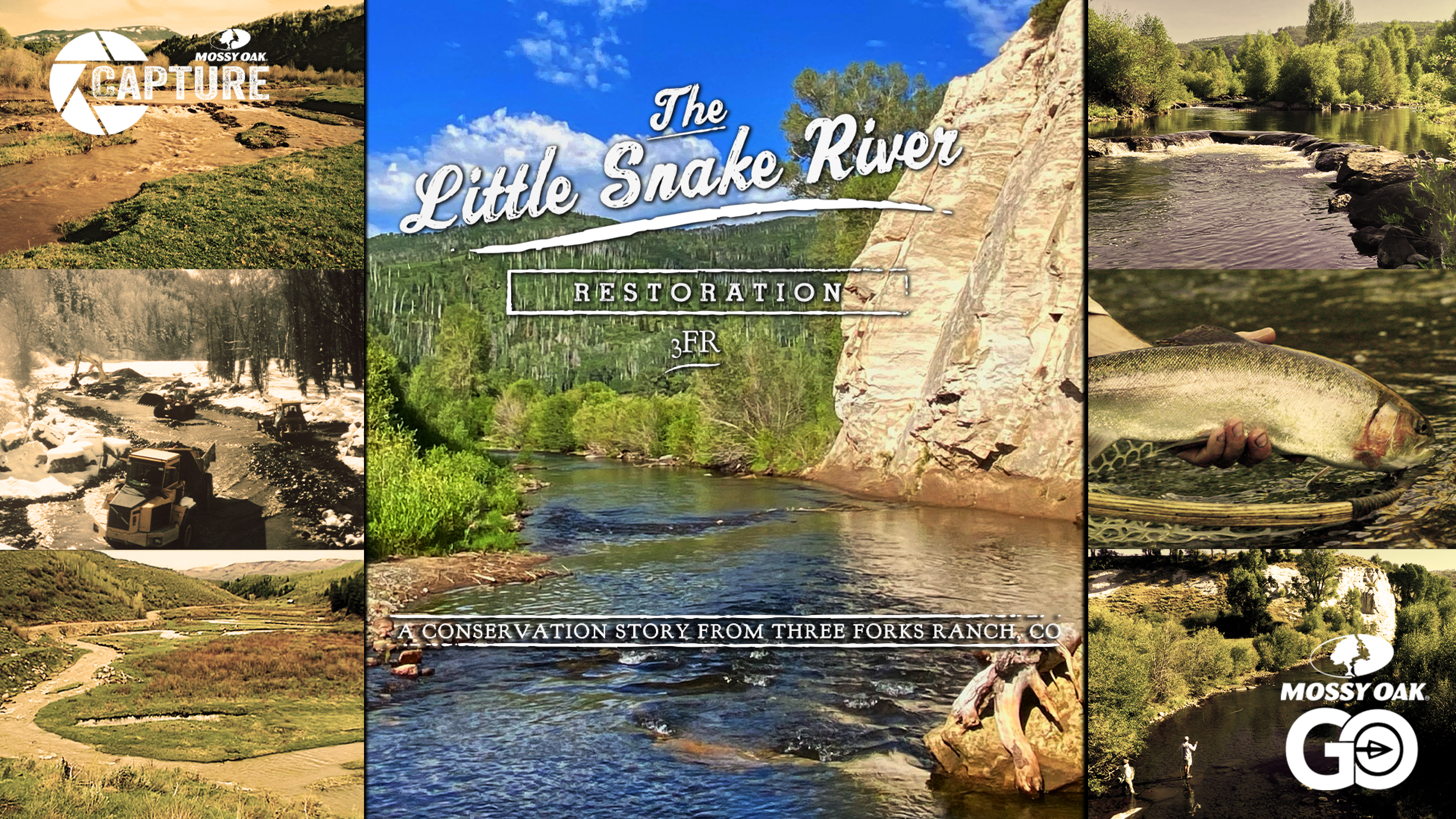 Little Snake River Restoration | Colorado Conservation