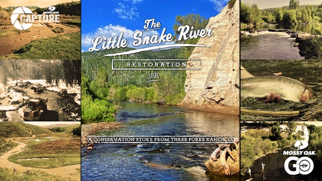 Little Snake River Restoration | Colorado Conservation