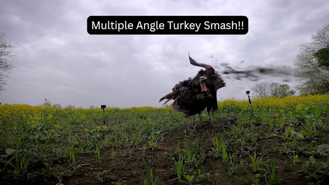 Multiple Angle Turkey Smash • Stompin...