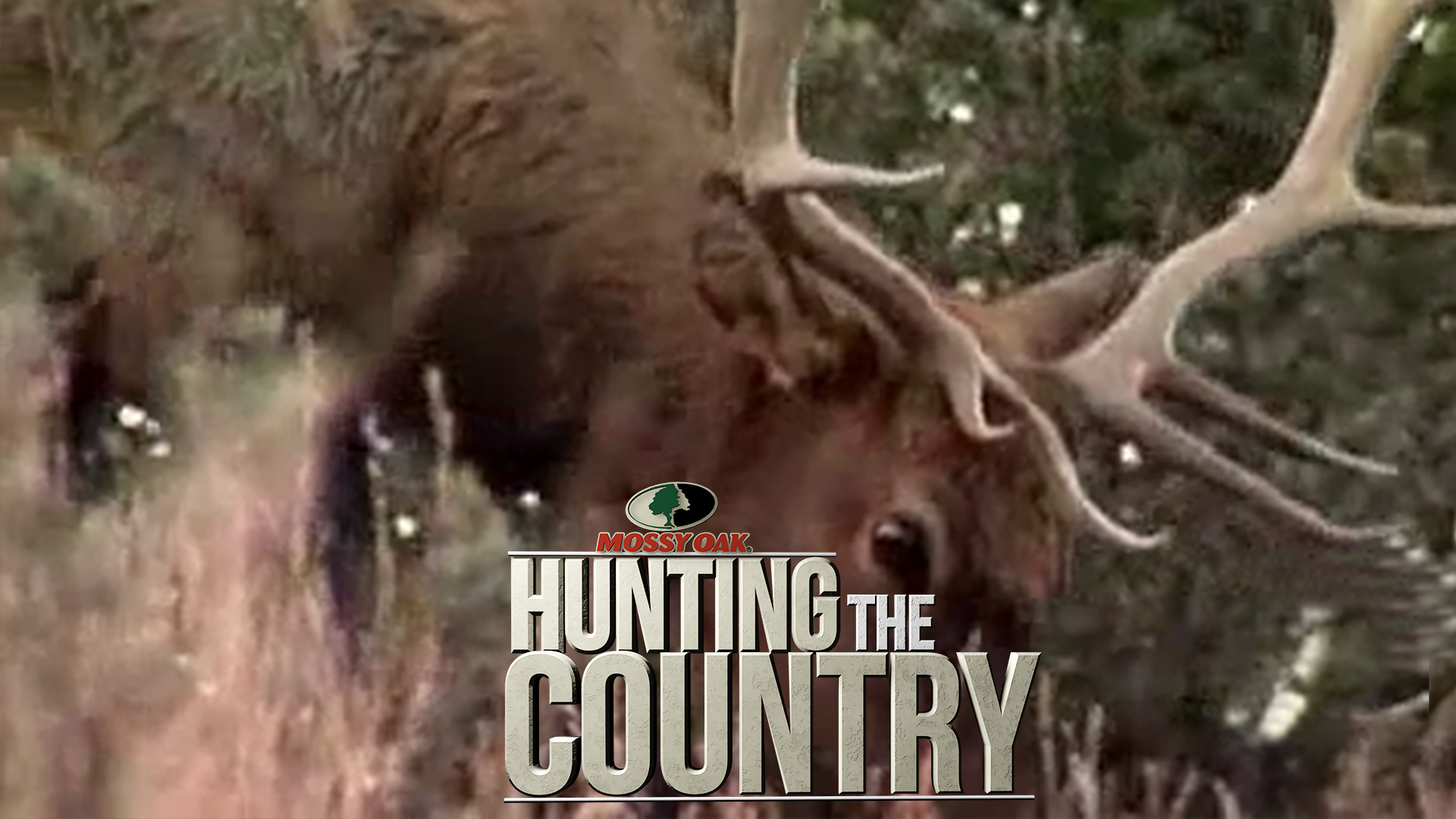 Flatland Tourist • Bowhunting for Elk in Montana