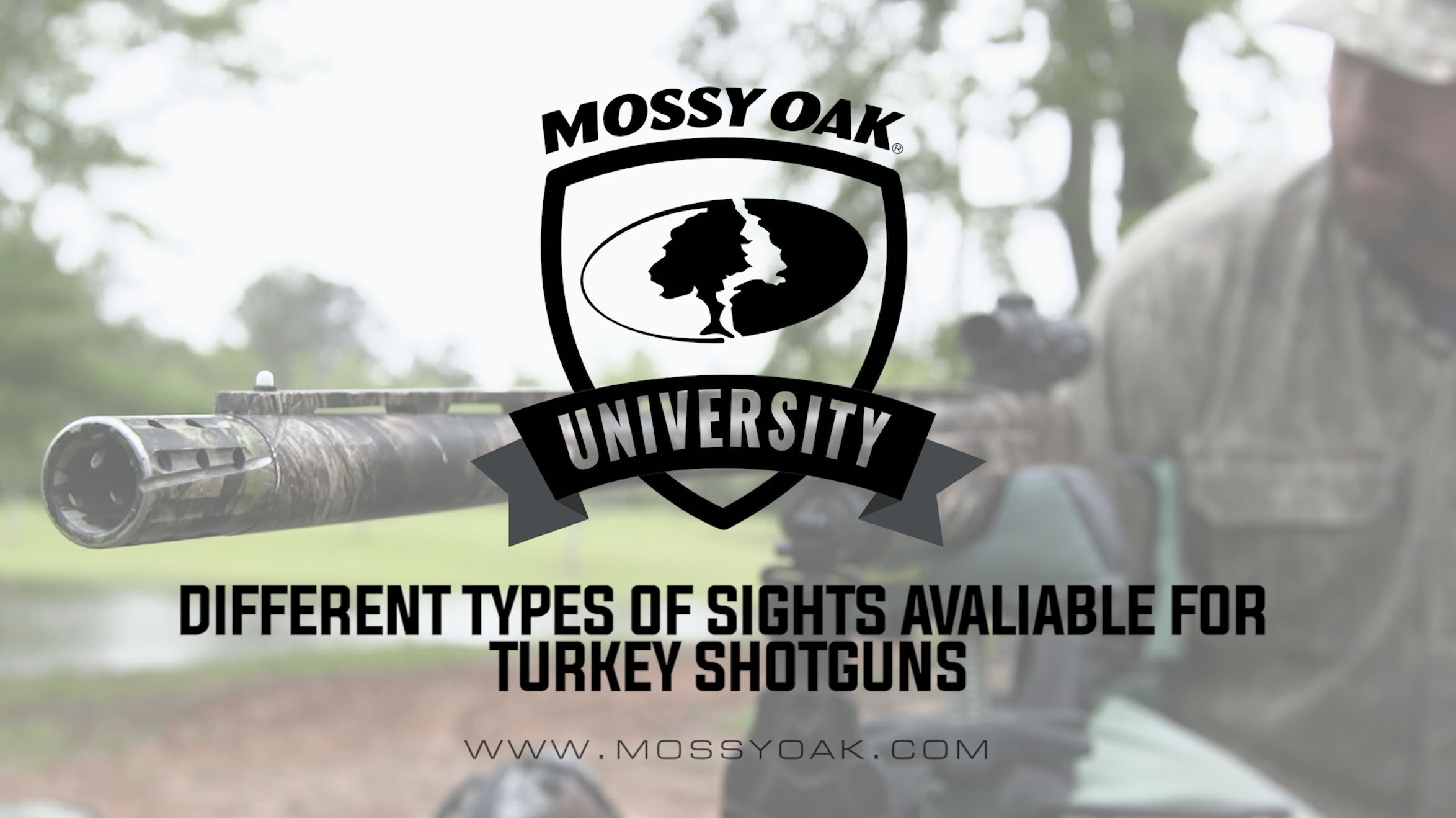 Different Types of Sights Available for Turkey Shotguns
