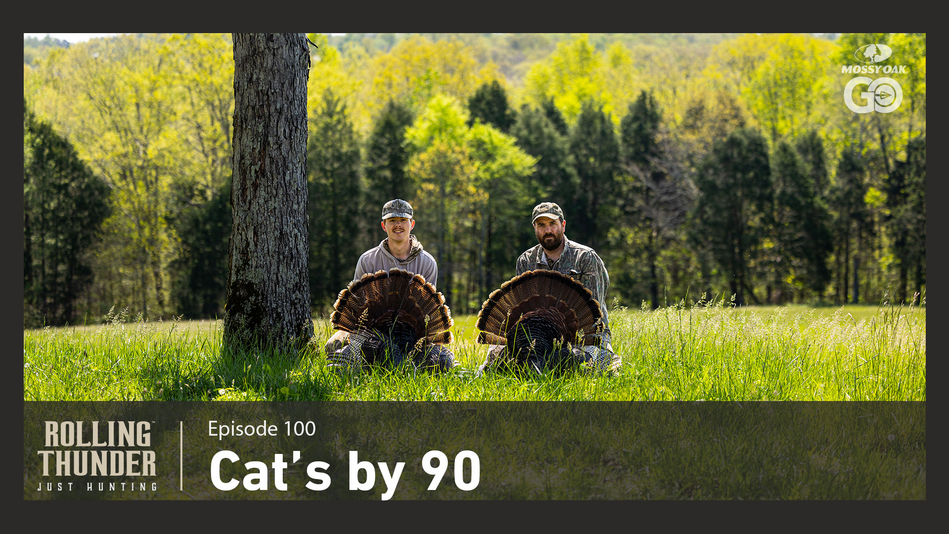 Cats by 90 • Rolling Thunder Episode 100
