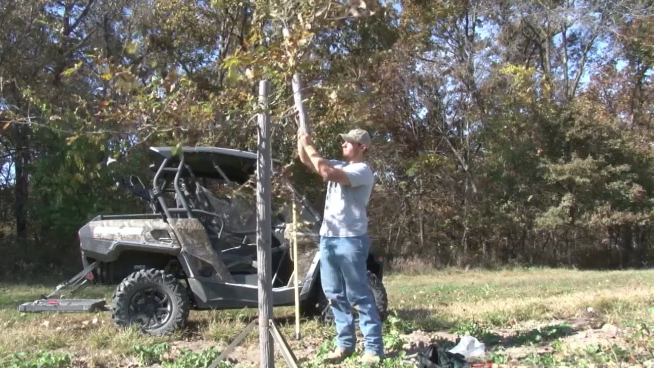 Mock Scrapes with Tom Ware • 100% Wild Podcast