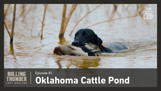 Oklahoma Cattle Pond • Rolling Thunde...