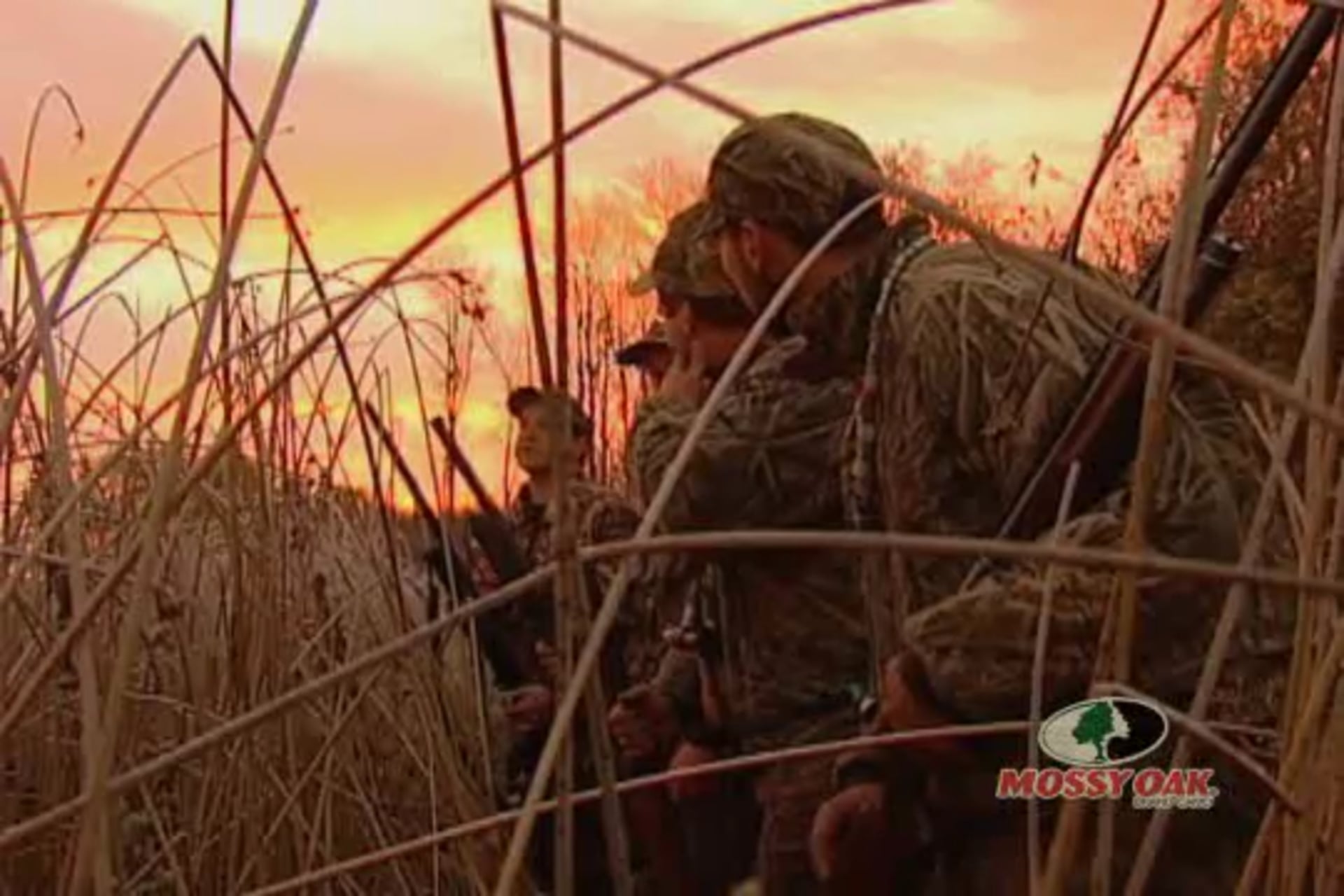 Whistling Wings 2006 Out Sourcing