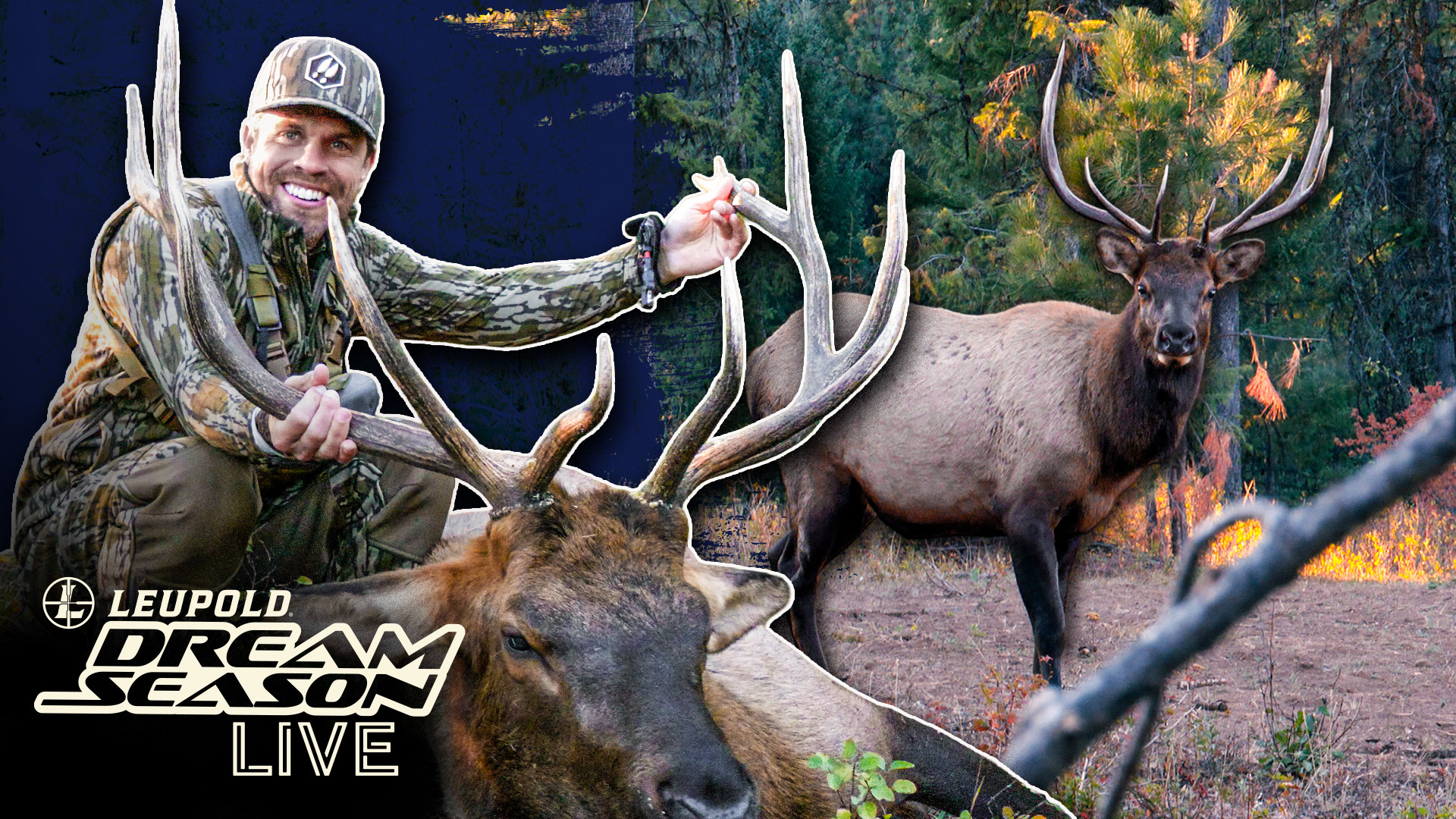 Dustin Lynch Is Back Chasing Idaho Elk | Dream Season Live
