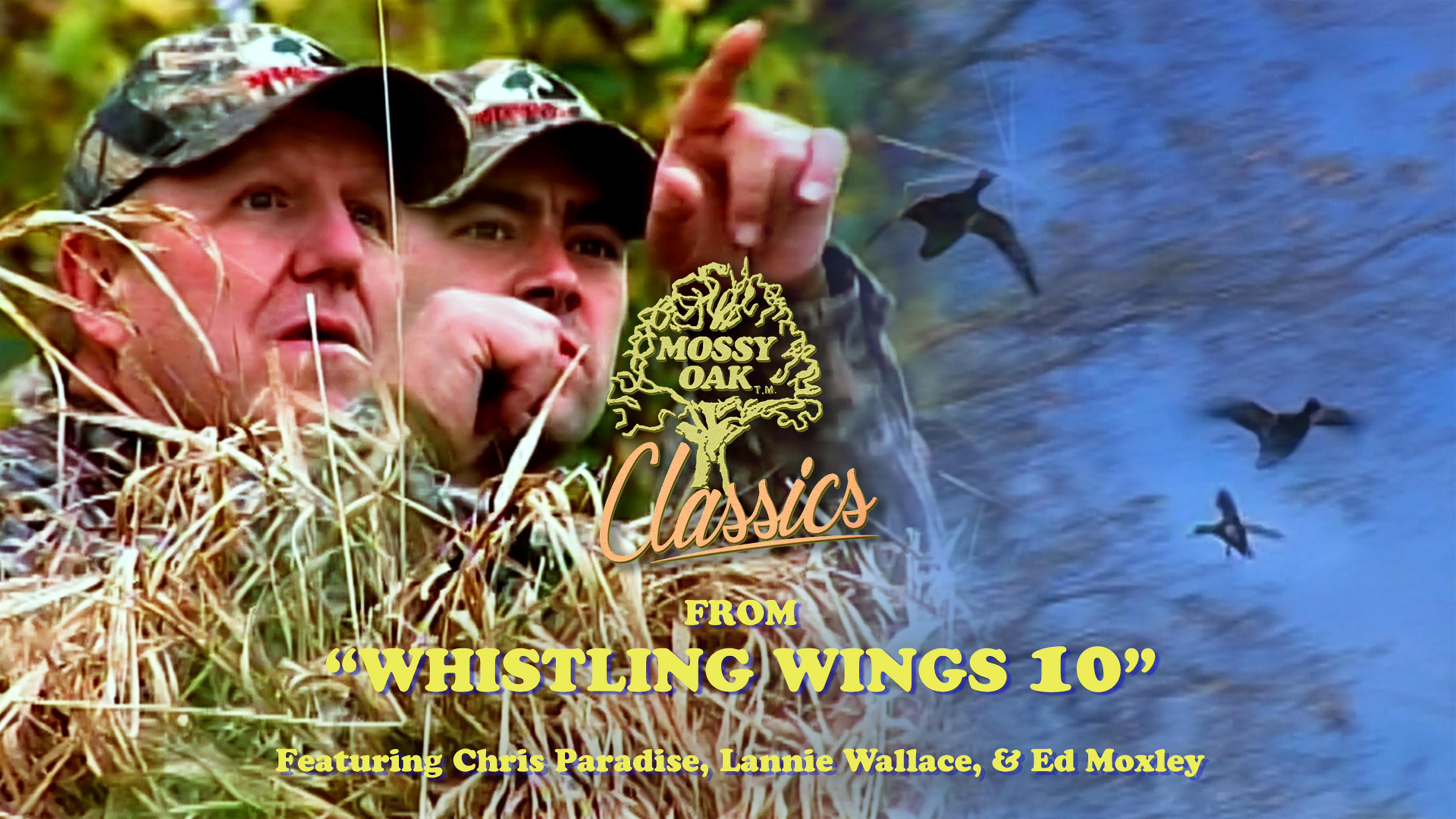 From Whistling Wings 10 w/ Chris P, Lannie W, & Ed Moxley • Mossy Oak Classics