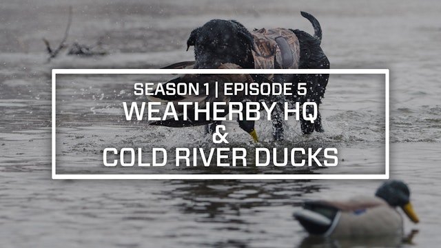 Last Pass Episode 5 • Weatherby HQ & Cold River Ducks • Final Approach