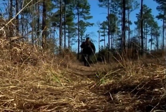 As Seen on TV • Whitetails in Alabama