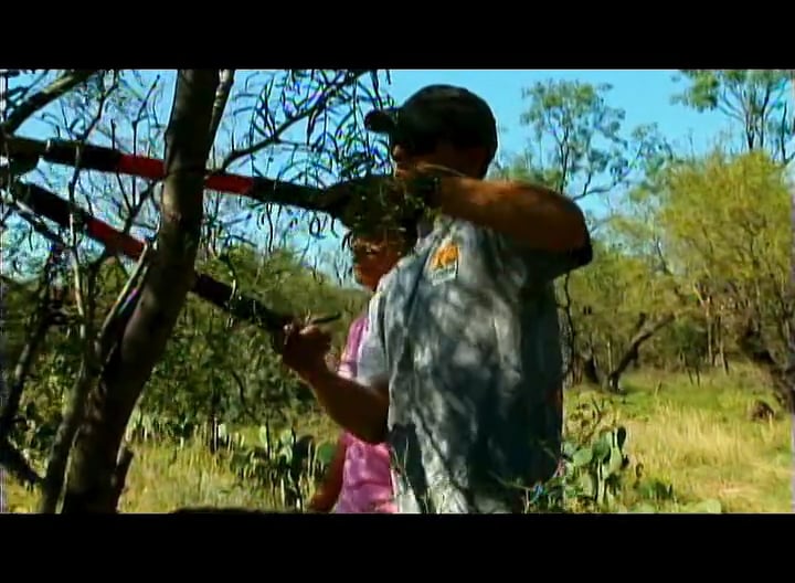 One Really Good Day • Whitetails in Texas