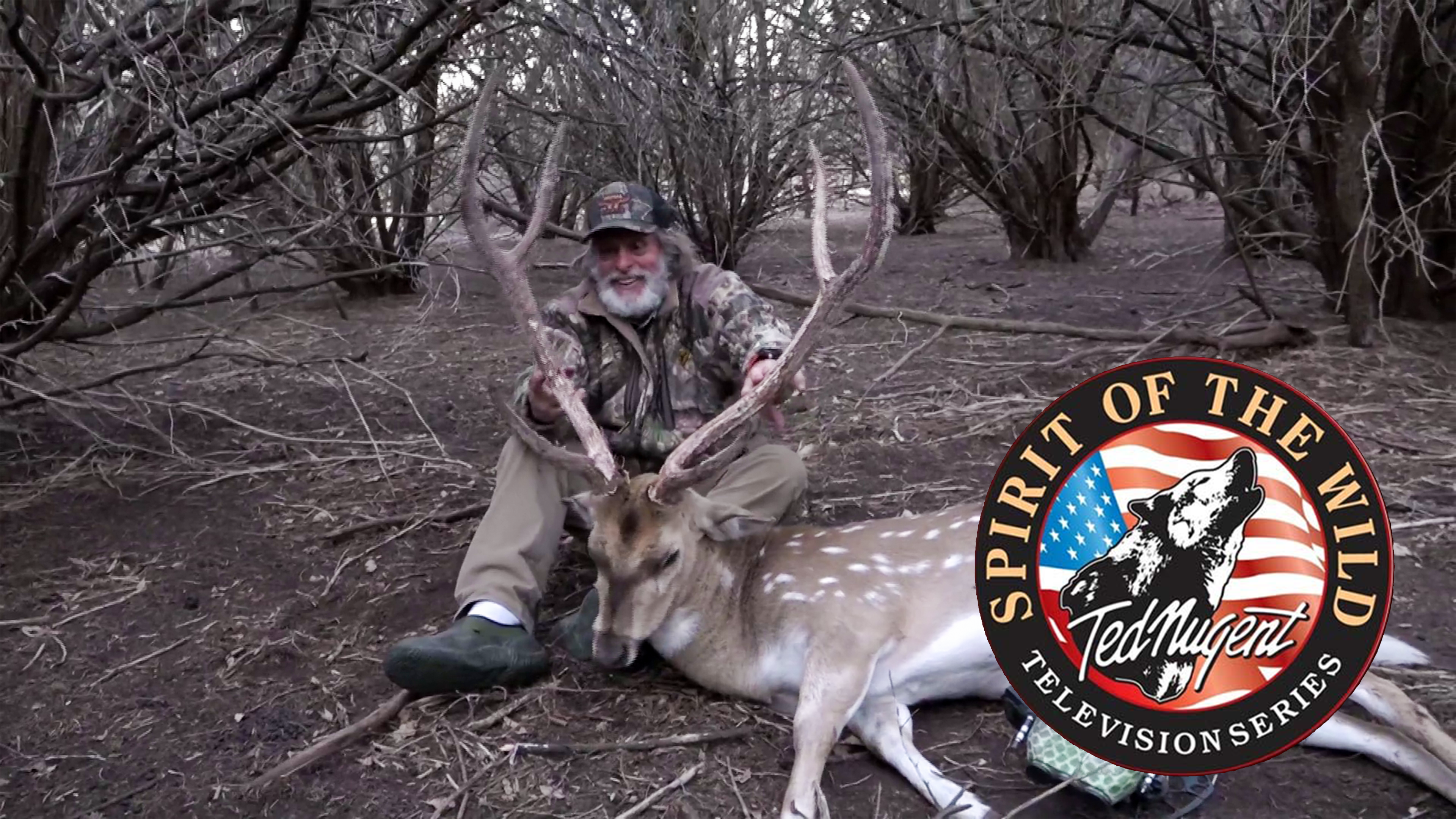 SpiritWild Axis Deer • Spirit of the Wild