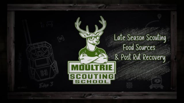 Late Season Scouting • Food & Post-Ru...