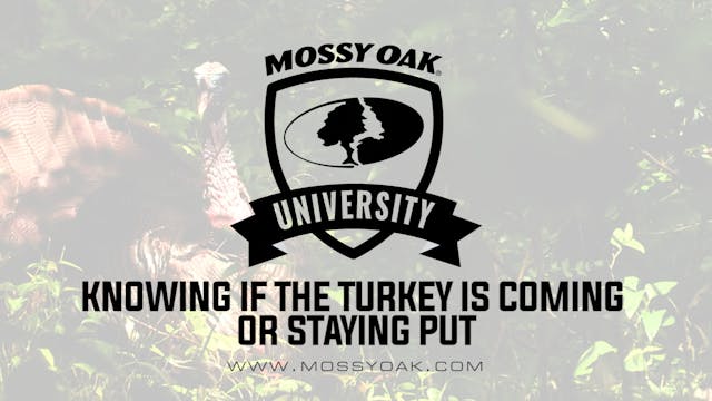 Knowing if the Gobbler is Coming or S...
