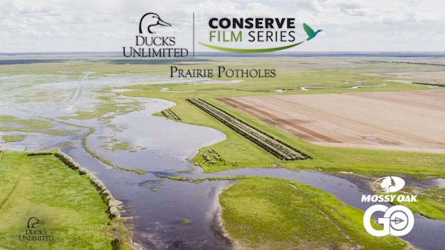 Prairie Potholes • DU Conserve