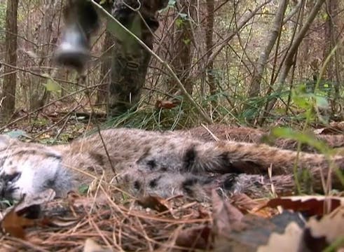 Temporary Duty • Bucks and Airmen